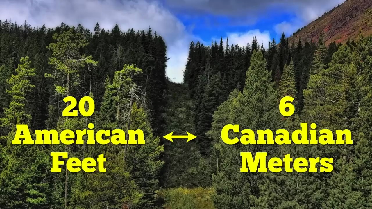 The American / Canadian Border