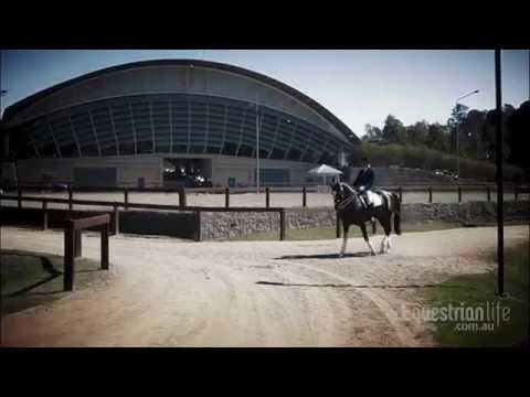 Equestrian Life Channel Trailer