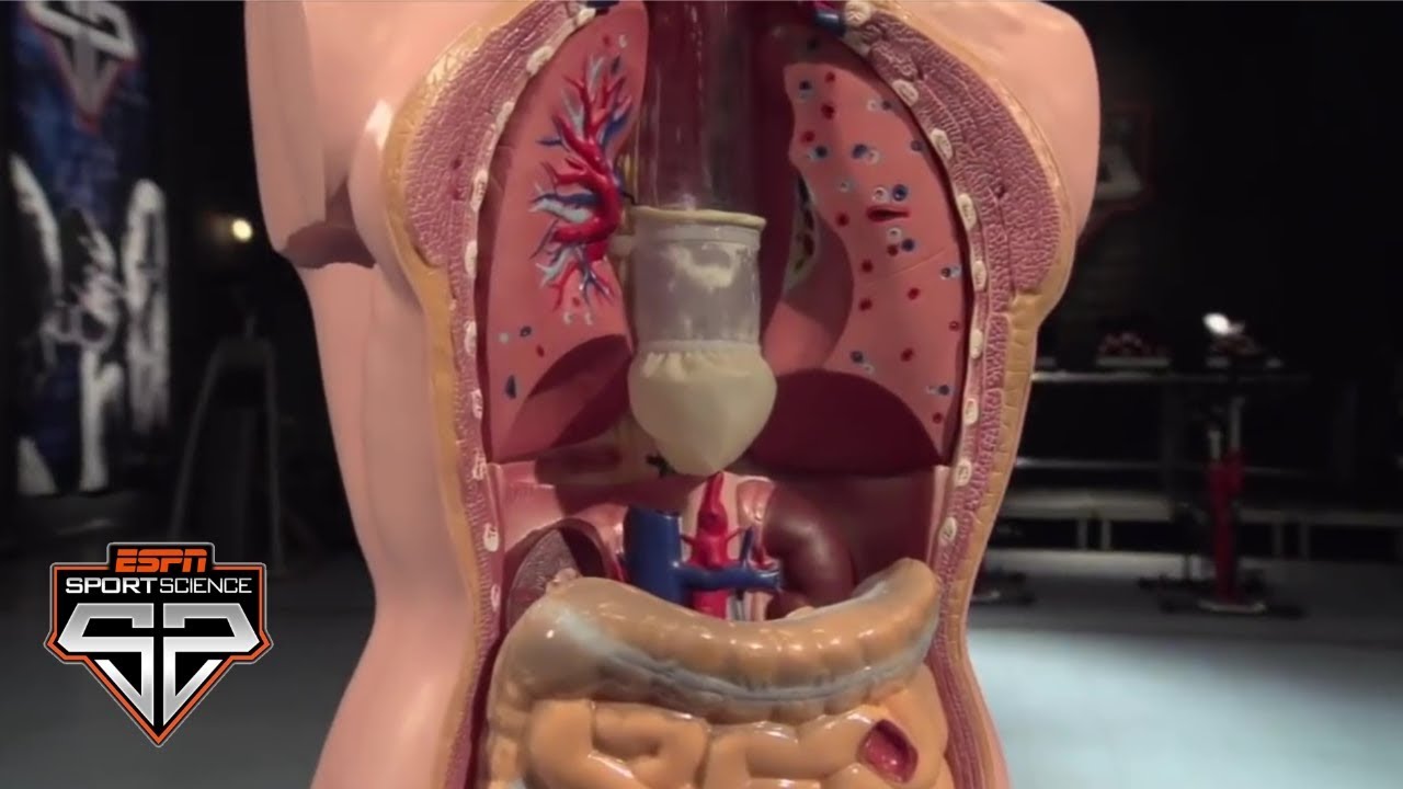 The Science Behind Competitive Eating | Sport Science | ESPN Archives