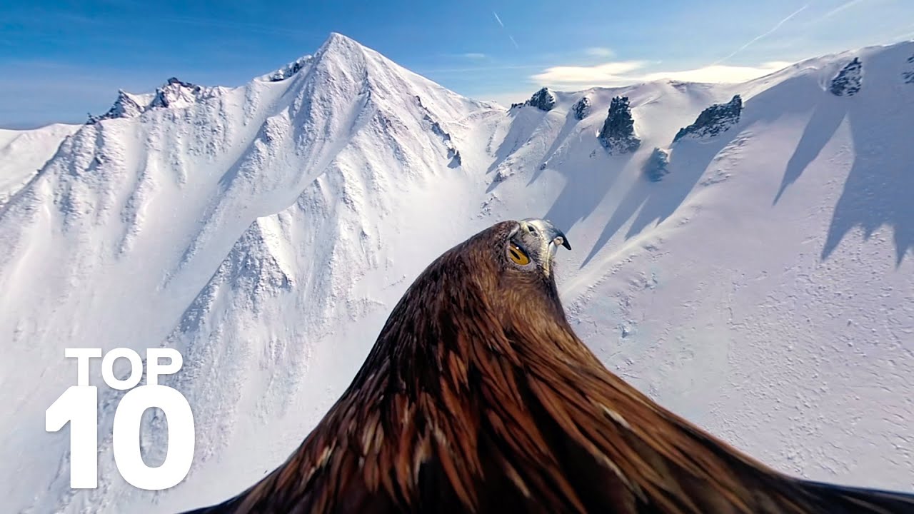 GoPro: Top 10 Moments of Winter