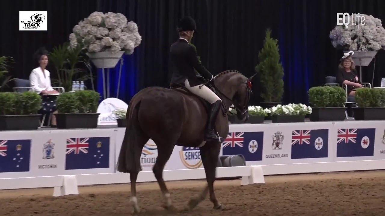 EQ Recap: 2019 Ego SunSense Australasian Showhorse & Rider Championships