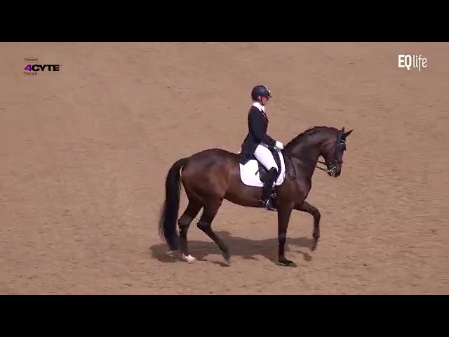 EQ Recap: Boneo Classic Grand Prix Dressage