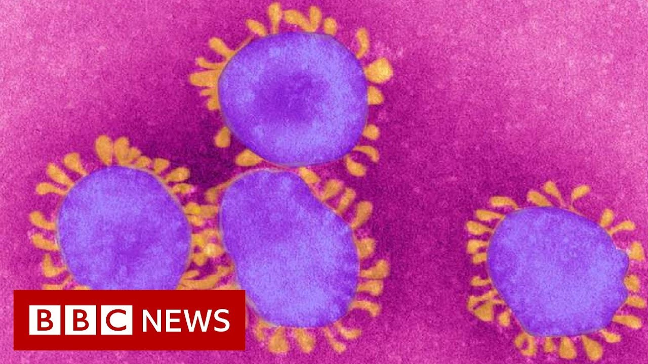 Coronavirus: World in ‘uncharted territory’ – BBC News