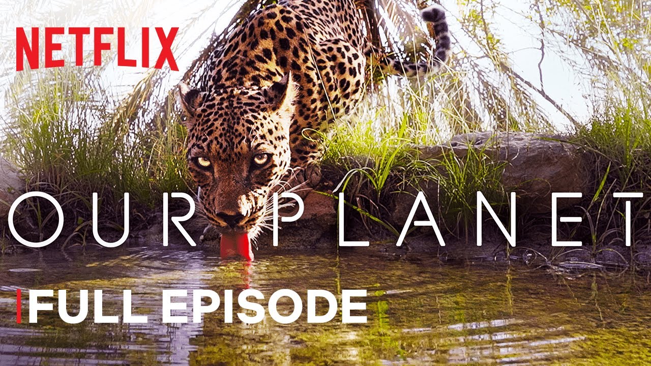 Our Planet | From Deserts to Grasslands | FULL EPISODE | Netflix