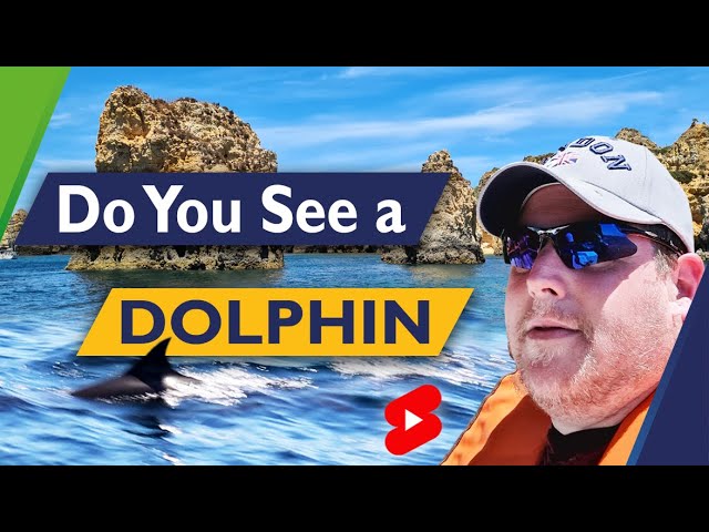 CURIOUS SPECIES | Do You See What I See? #Shorts