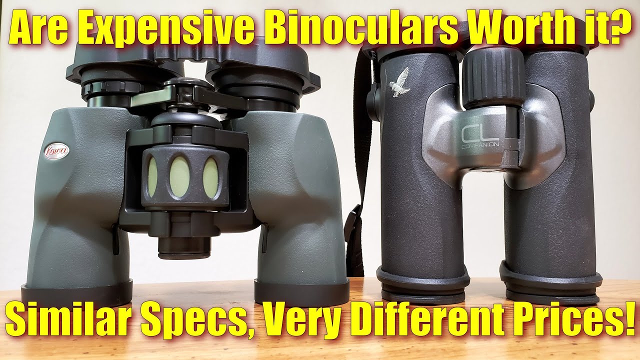 $100 Vs $1,000 Binoculars – Best Binoculars for the Money?