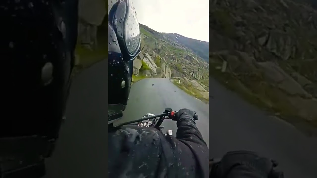 💯Man loses a lot for peace,nature🌿🌿 gives us a lot