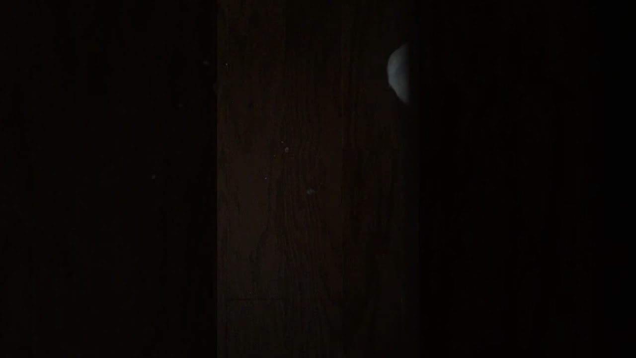 Top wired videos into 1