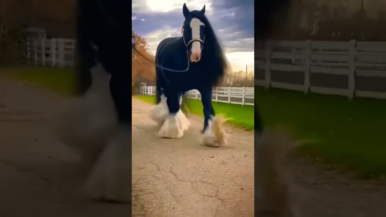 🥰extreme beauty ❤️