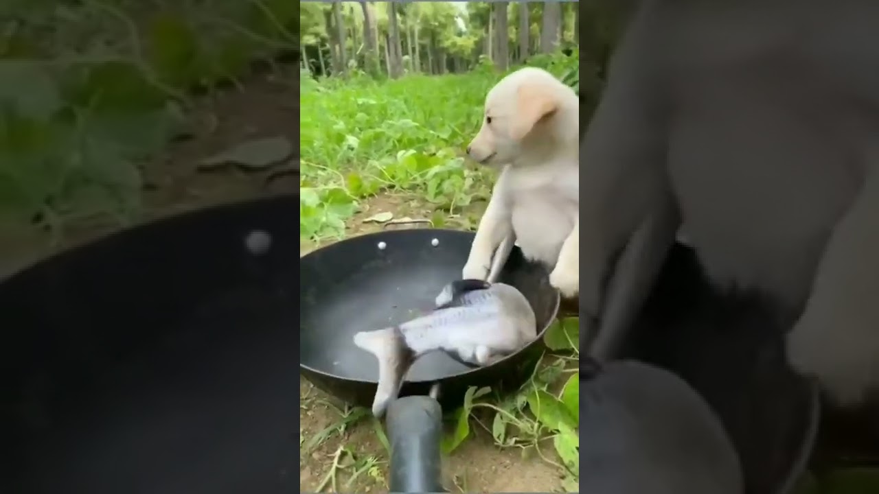 🤦opps: so sorry coz I m so hungry. ಥ‿ಥ