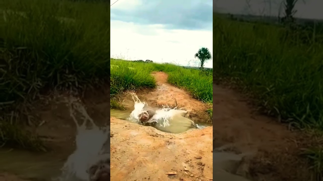 ಠ︵ಠuff: it’s tuff😫