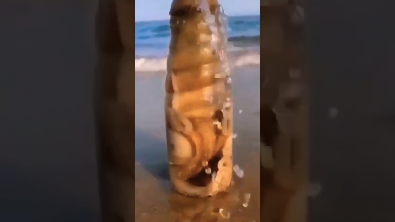 😱an amazing sight