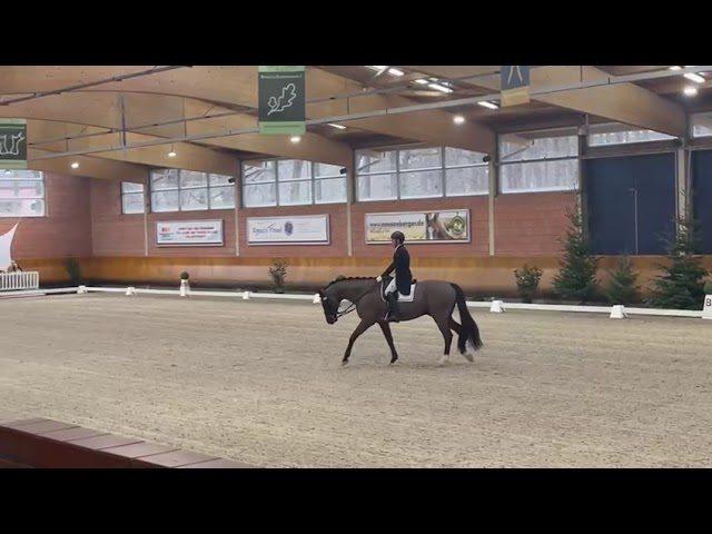 Warwick McLean and Jack 483 – Schloss Wickrath Dressage