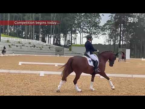 Dressage by the Sea is now underway at Willinga Park!