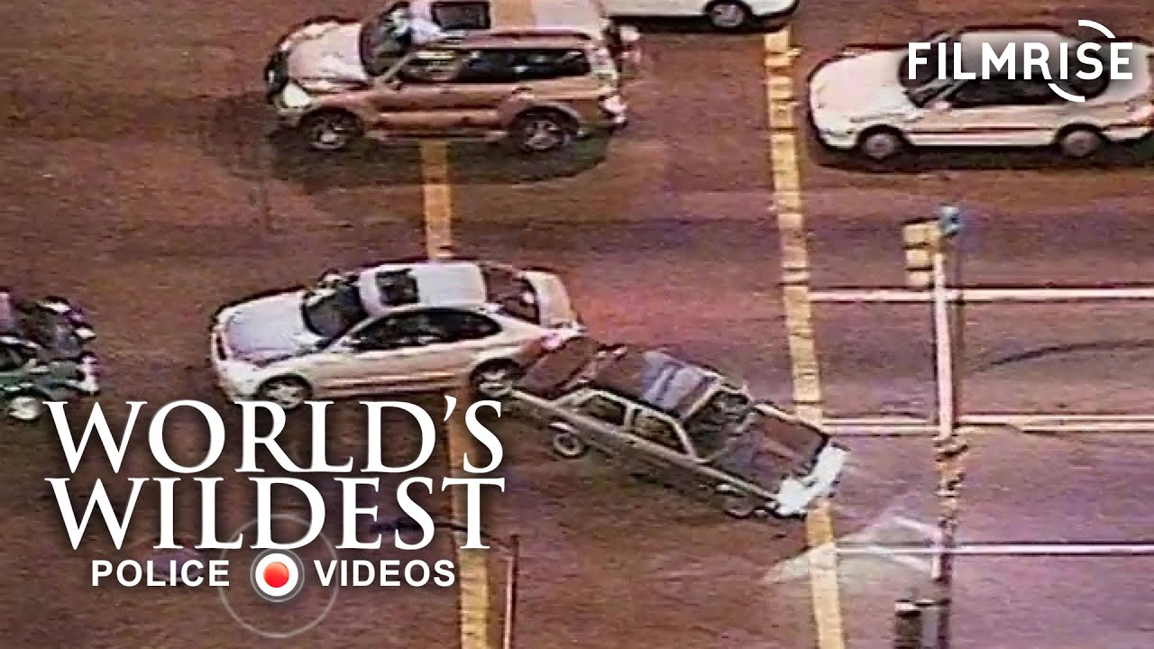 Parole Violation | World’s Wildest Police Videos | Season 4, Episode 11