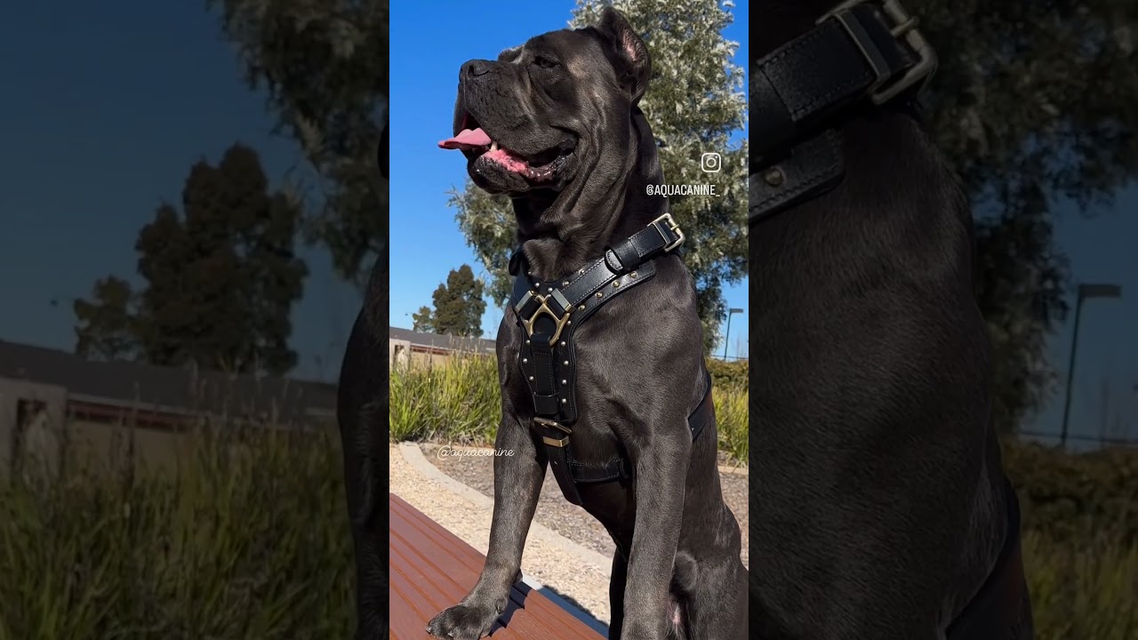 The 100 best movies free movies on youtube#popcornflix