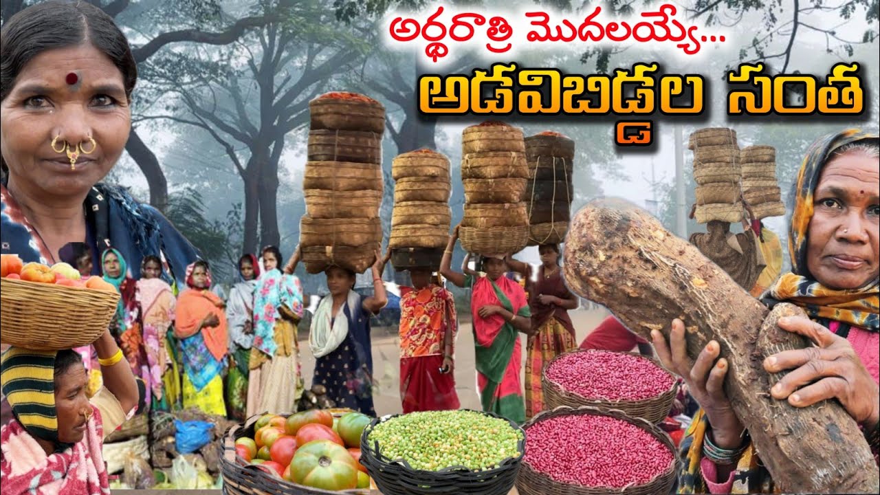 ఈ గిరిజనసంత చాలా ప్రత్యేకం || Midnight tribal Market in Pederu @TribalMirror