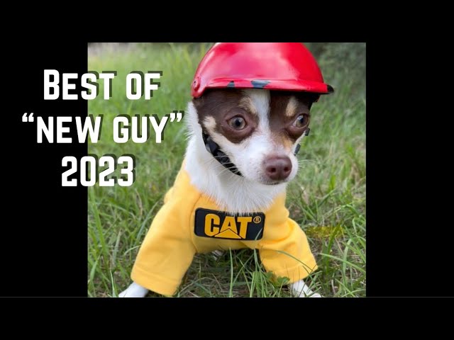 Can’t wait to see what the New Guy does in 2024!