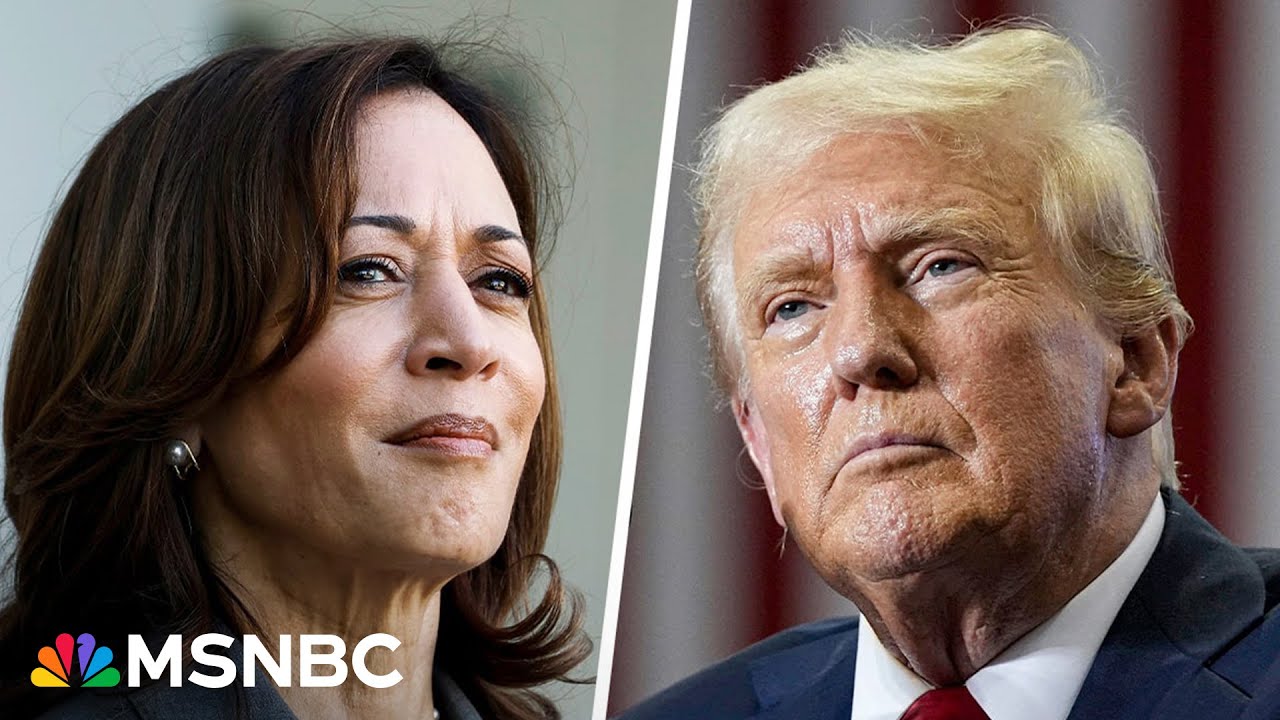 Kamala Harris erases Trump’s swing state lead in new poll, resetting race