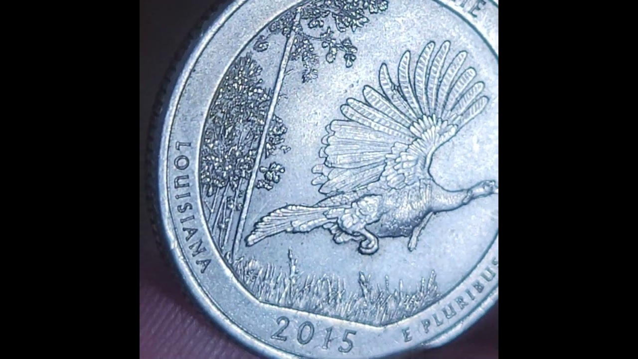 ✝️ DID I FIND A RARE VARIETY ERROR QUARTER COIN ? EXTRA FEATHER  ?🔍CLICK BELOW WATCH EPISODE #193