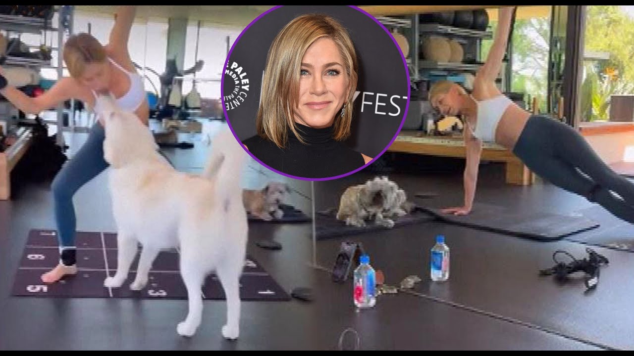 Jennifer Aniston's Dogs INTERRUPT Intense Workout