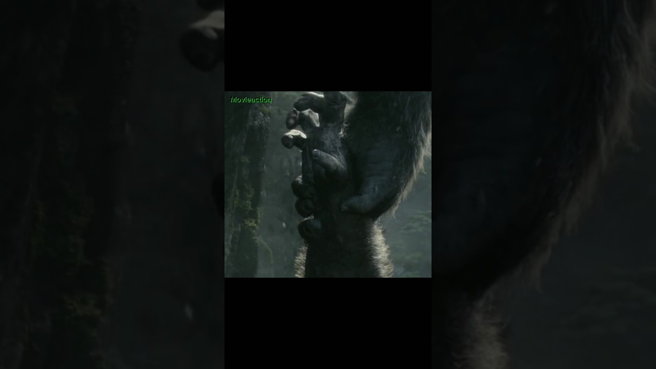 Kong fight #action #clips