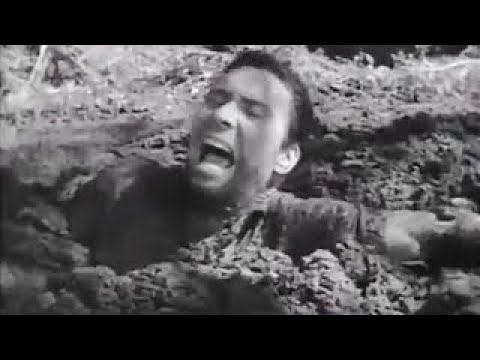 The Quicksand Chronicles ~ Cry Of The Hunted (1953) Sinking People Videos #2