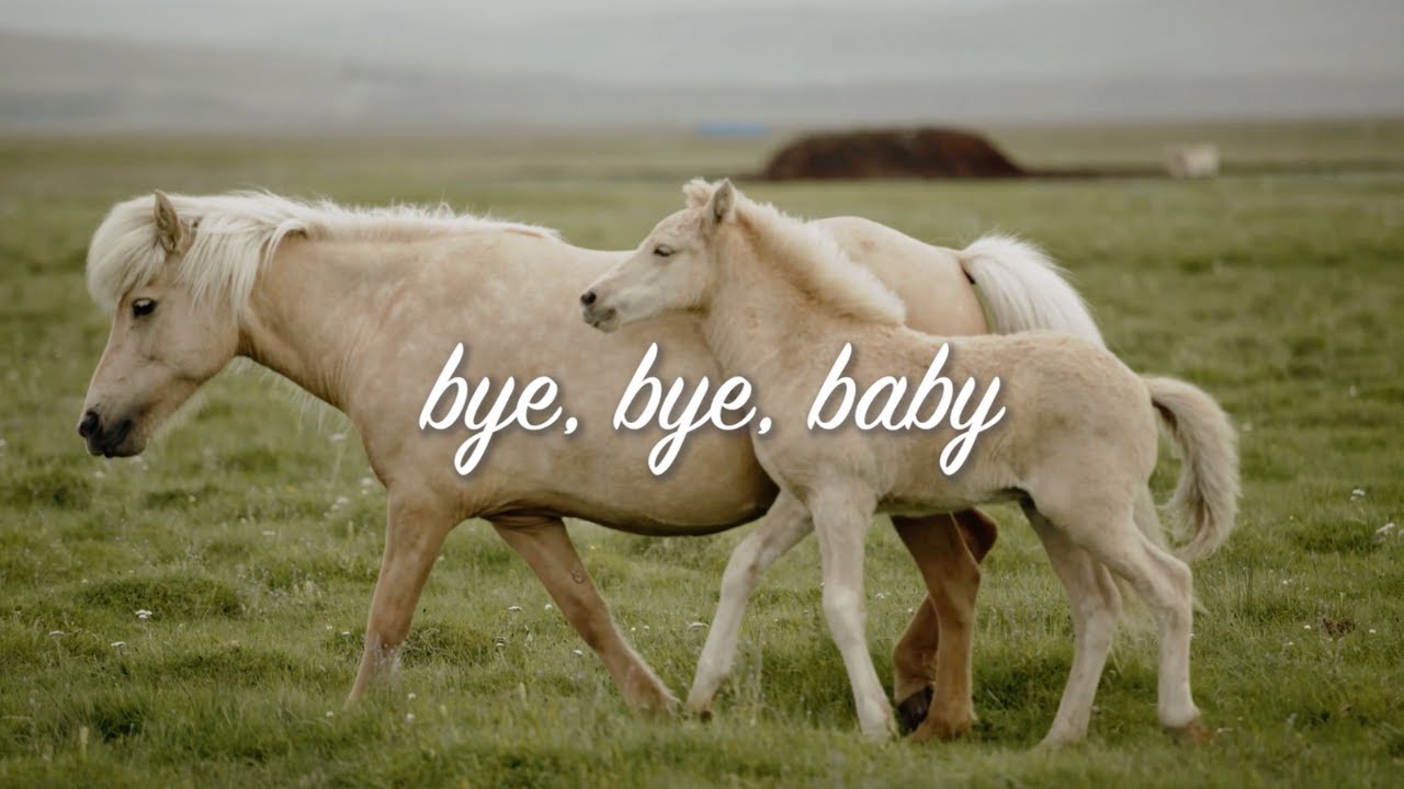 Zolita – Bye Bye Baby (Official Lyric Video)