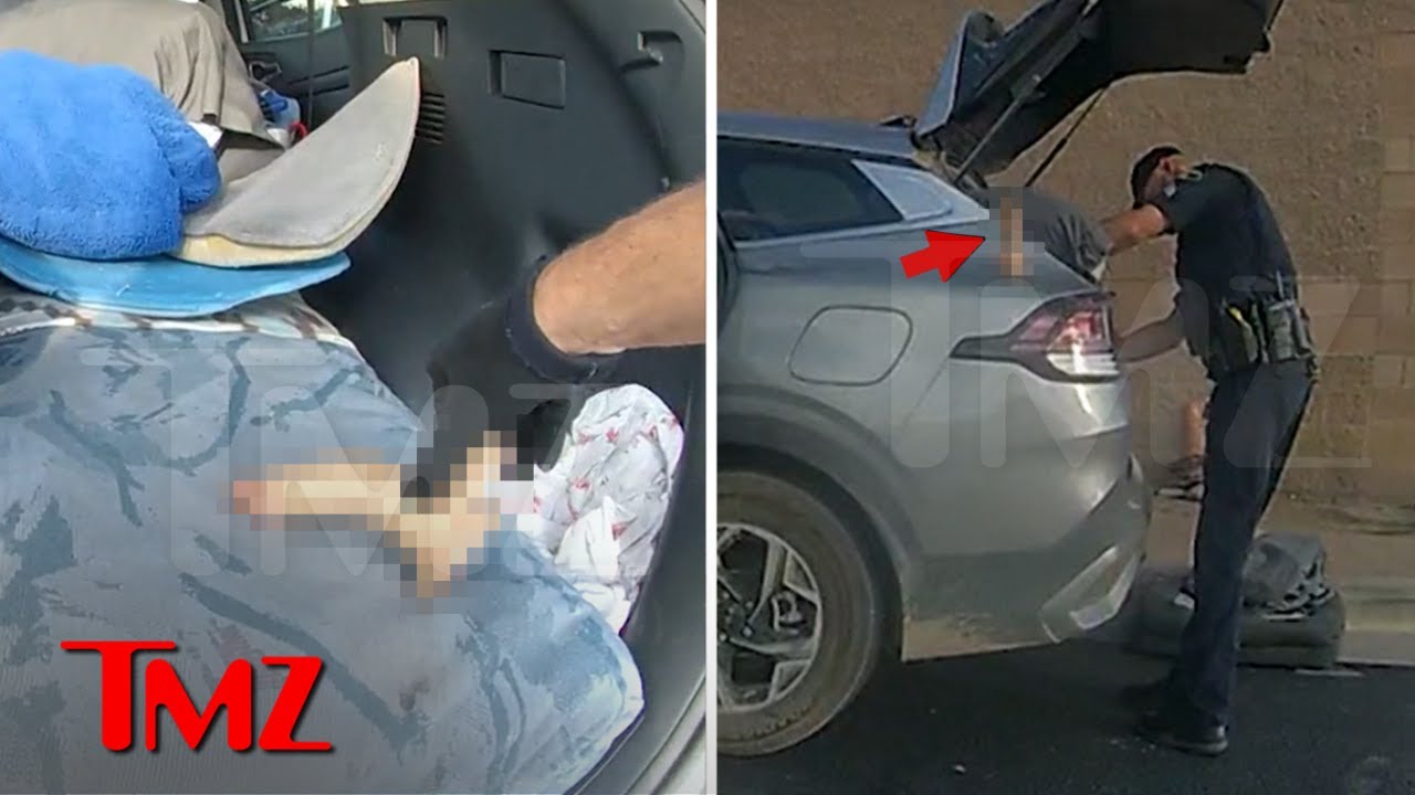 Colorado Cops Find Sex Toy in Car During Traffic Stop, Body Cam Video Shows | TMZ