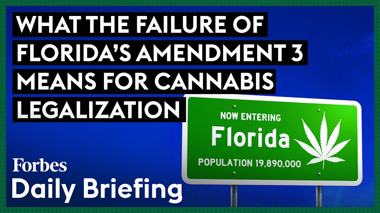 Here’s What The Failure Of Florida’s Amendment 3 Means For Cannabis Legalization