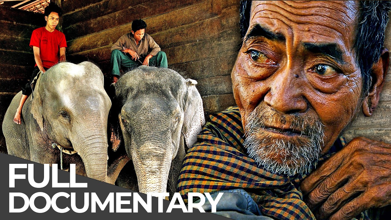 The Last Elephant Men of Cambodia | Free Documentary