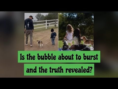 Is the bubble about to burst and the truth revealed?