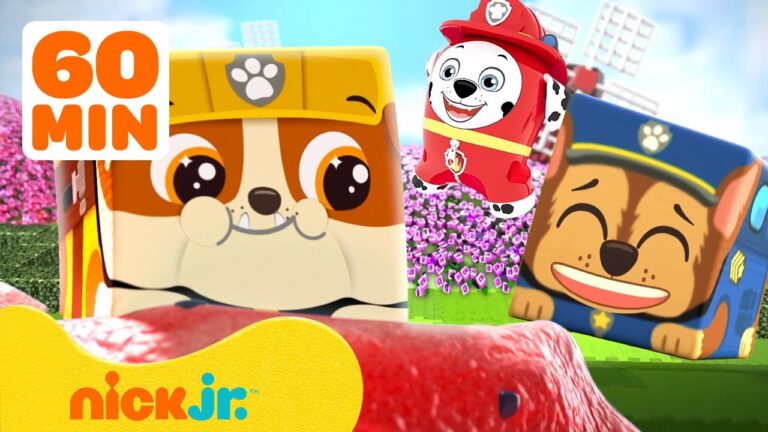 PAW Patrol Pups Reimagined! And More Nick Jr. Characters! | 60 Minutes | Nick Jr.