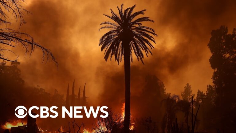 Wildfires continue to decimate Los Angeles area | full coverage