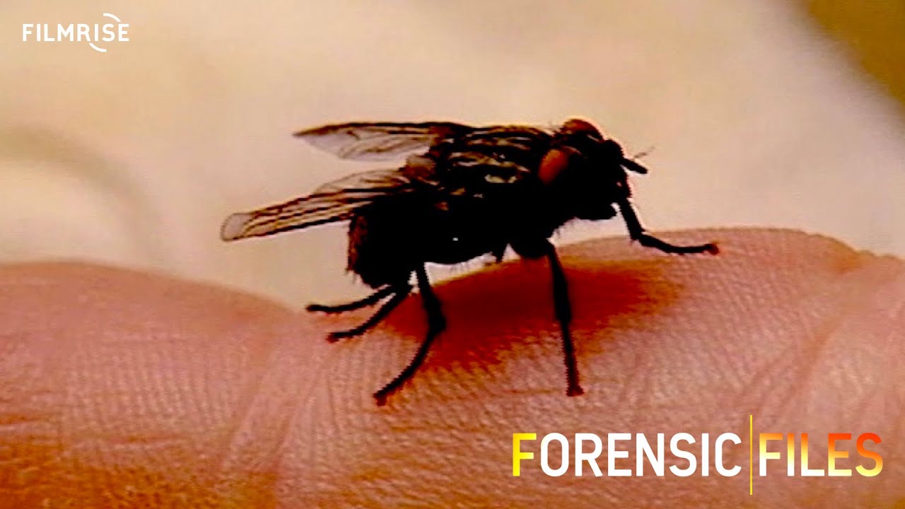 Forensic Files – Season 1, Episode 6 – Southside Strangler – (In HD)