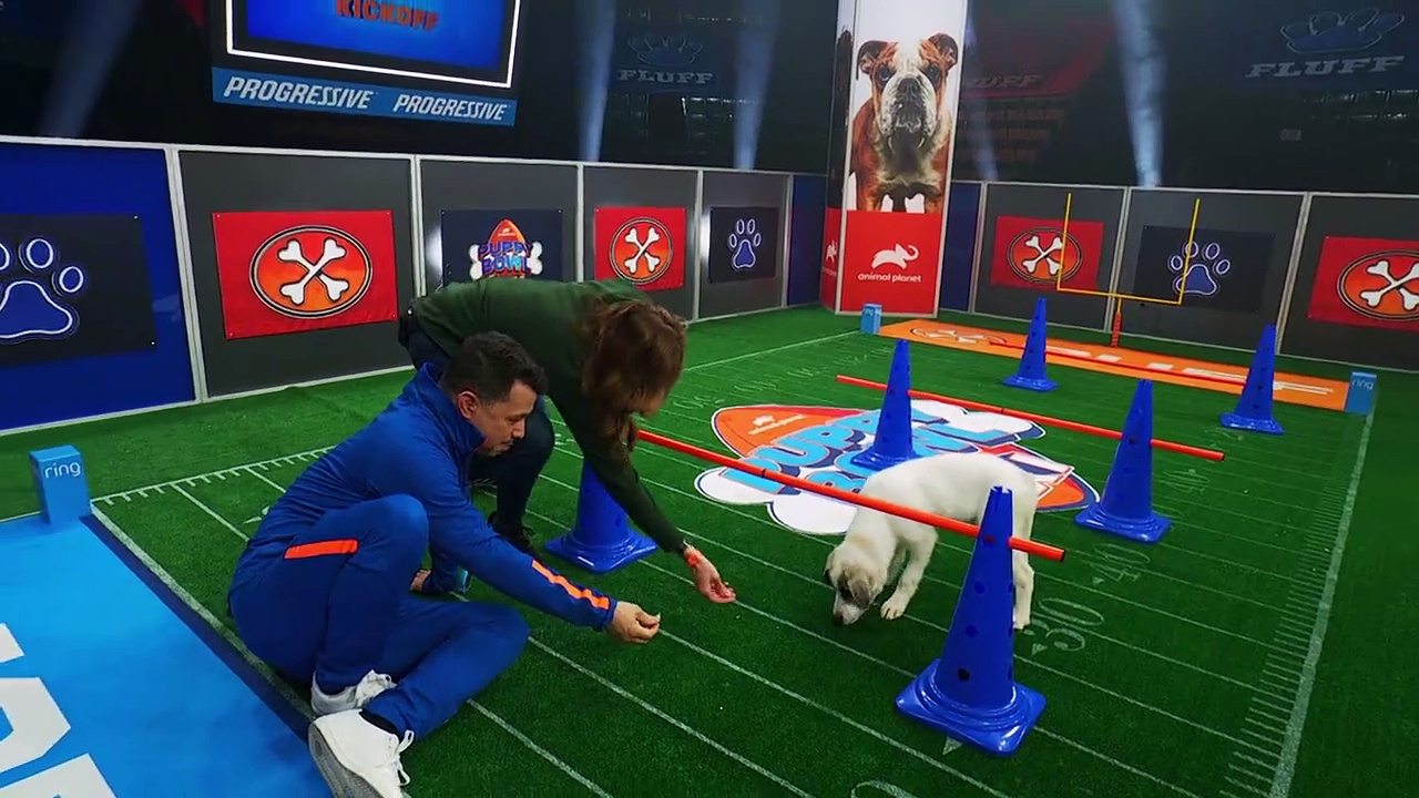 Puppy Bowl XXI 2025