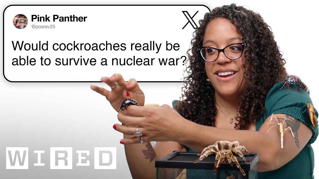 Entomologist Answers Insect Questions | Tech Support | WIRED