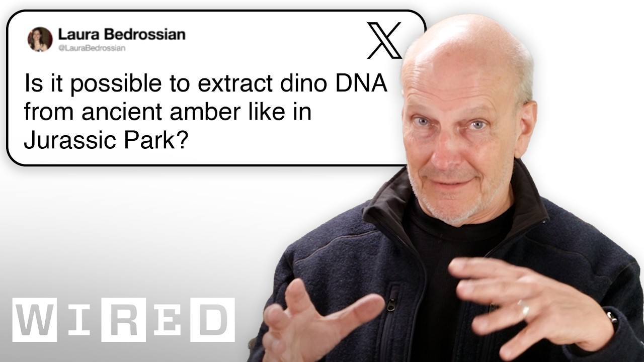 Paleontologist Answers Fossil Questions | Tech Support | WIRED