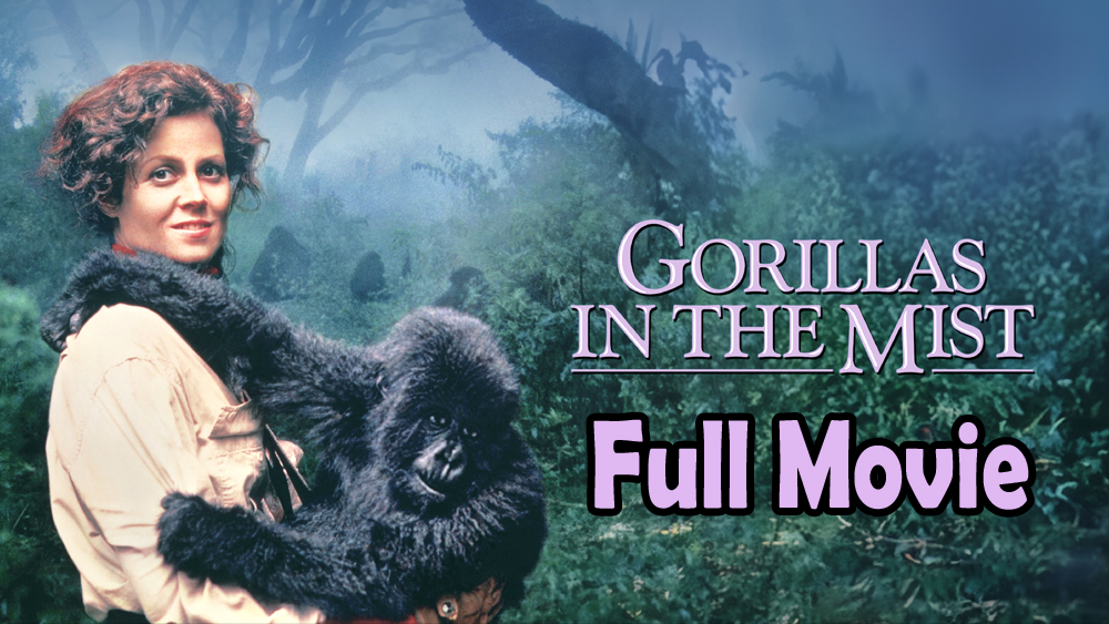 Gorillas in the Mist (1988) Full Movie HD