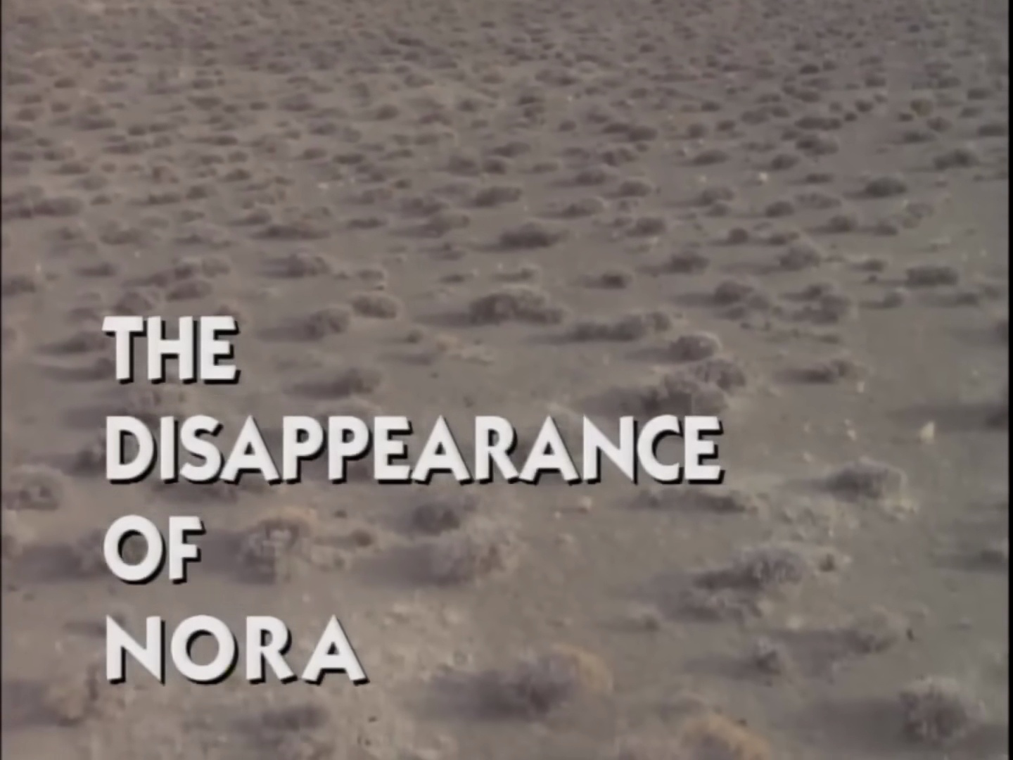 The Disappearance of Nora 1993