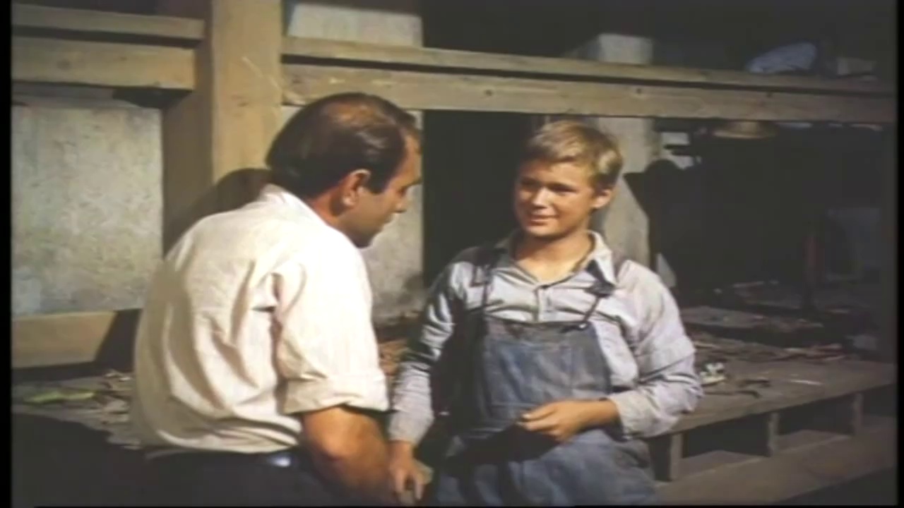 The Missouri Traveler | Full Movie | Jerry Hopper | Brandon De Wilde, Lee Marvin, Gary Merrill, Paul Ford