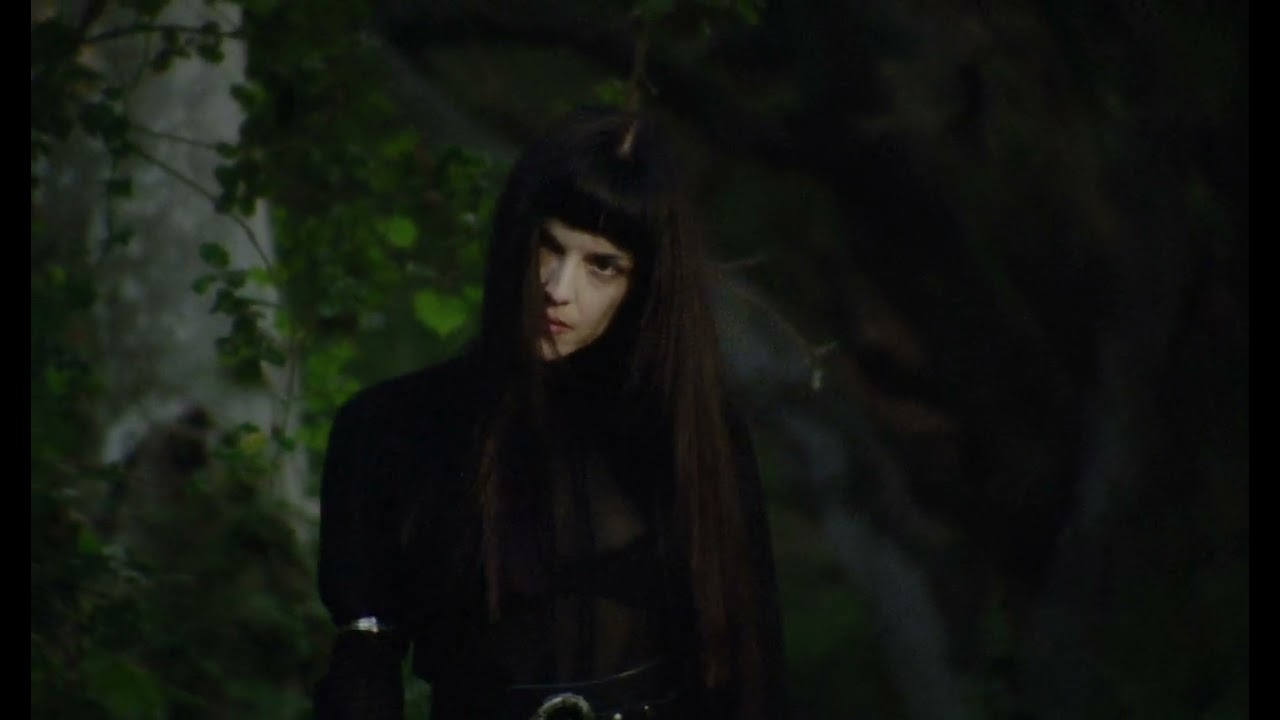 Not for Radio – Swan (Official Visualizer)