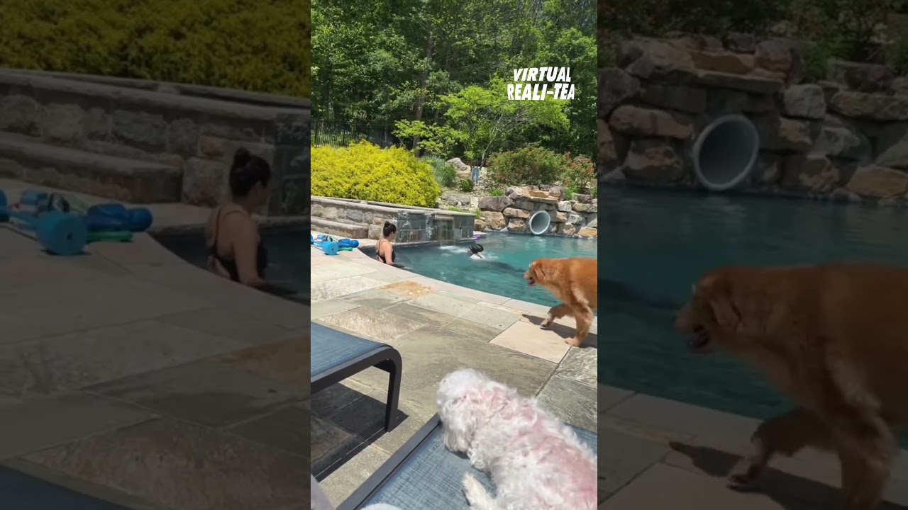 This video of Teresa Giudice preparing for Special Forces is EVERYTHING | Virtual Reali-Tea #shorts