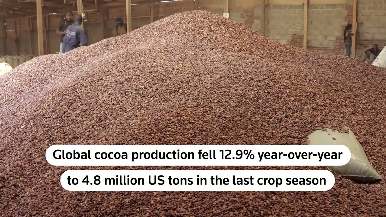 Why chocolate will be more expensive this Halloween | REUTERS