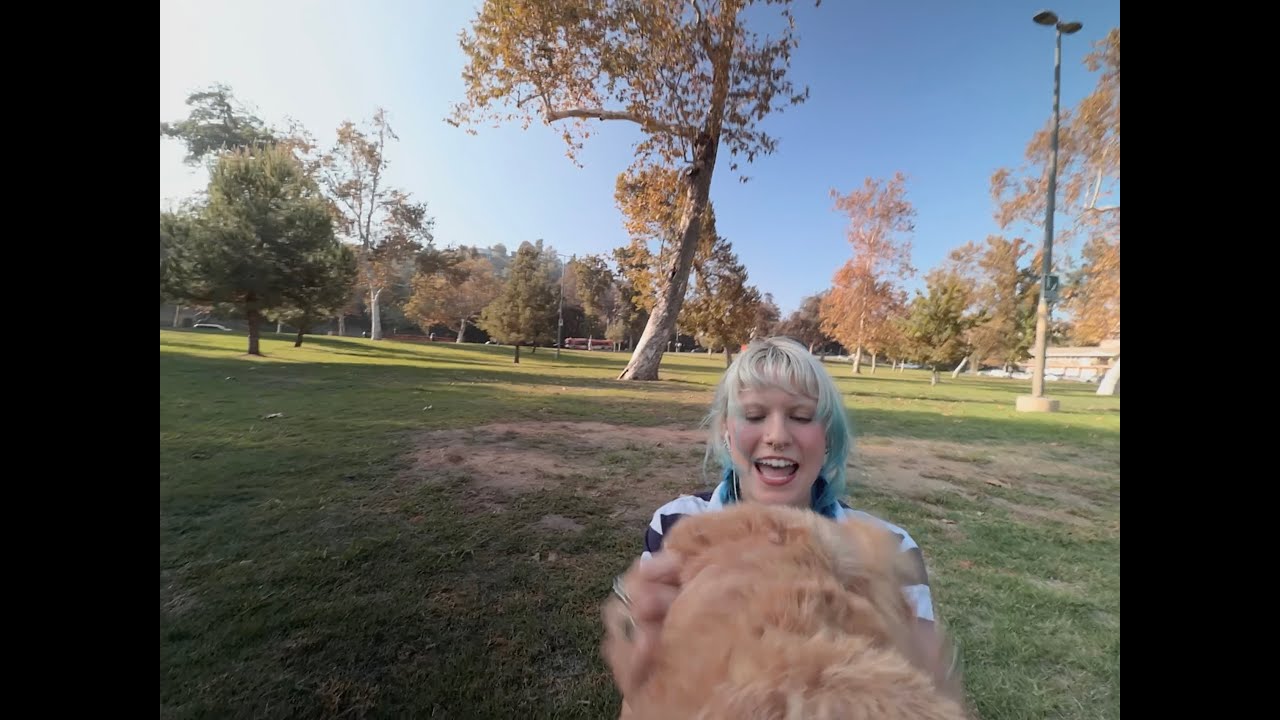 Devon Again – skittles (official visualizer)