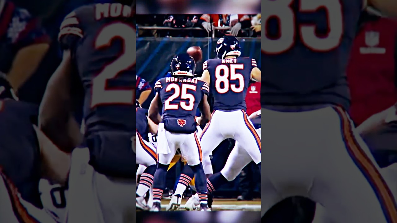 Bears gettin too cute 😭✌️ #shorts