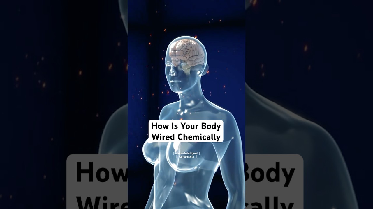 How Is Your Body Wired Chemically  #neuroscience #mindblown
