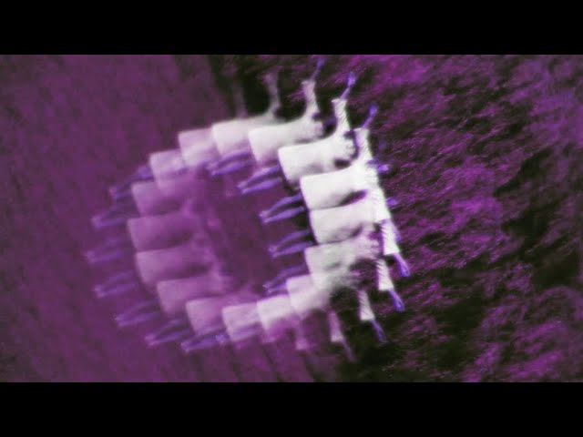 Melody’s Echo Chamber – The House That Doesn’t Exist (Official Video)