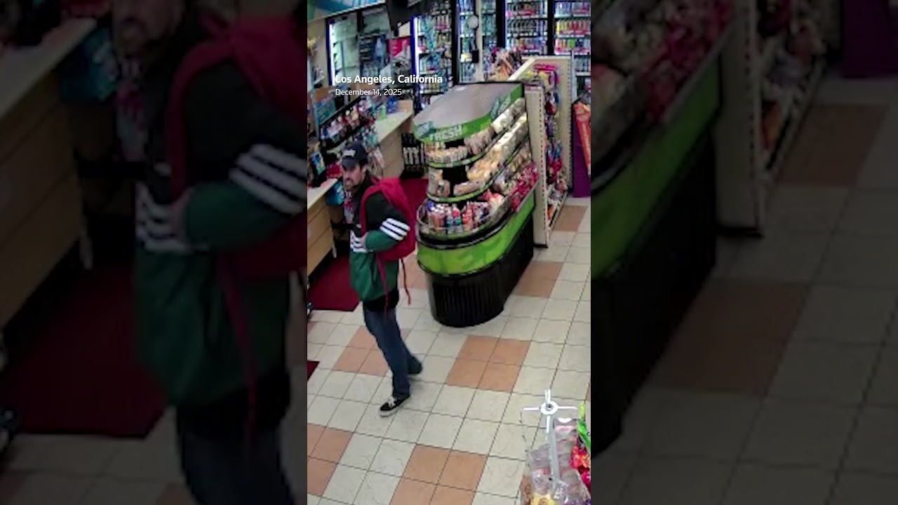 Security footage shows Rob Reiner’s son before arrest | REUTERS