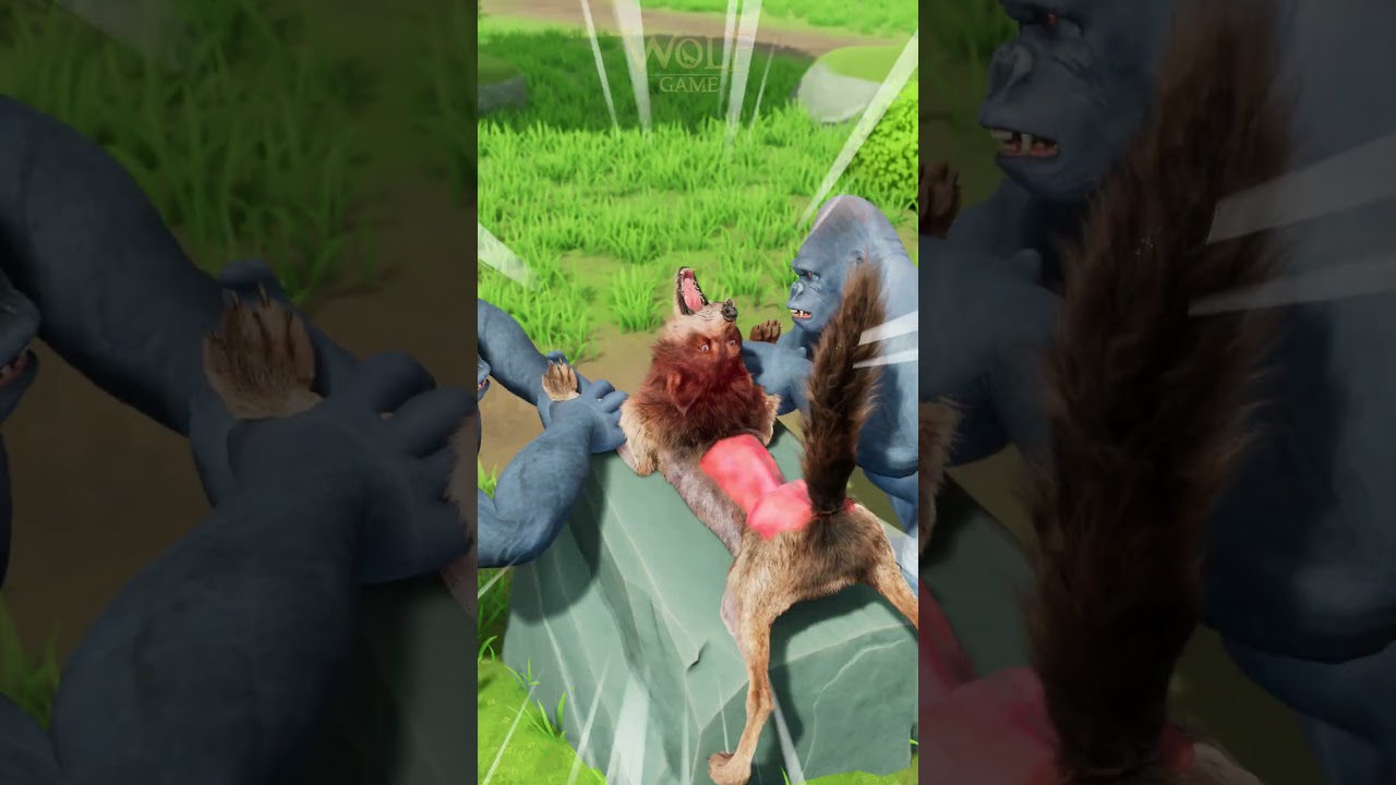 The Gorilla Started Pulling Jerry’s Leg Hair🦵💀 #wolfgame #wolf #animalshorts #wolfstory